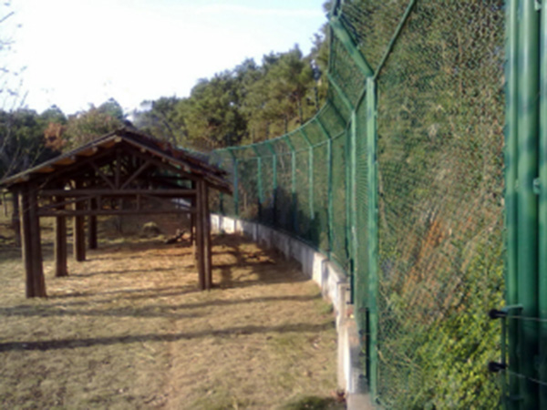 上海動物園防護柵欄圖片2