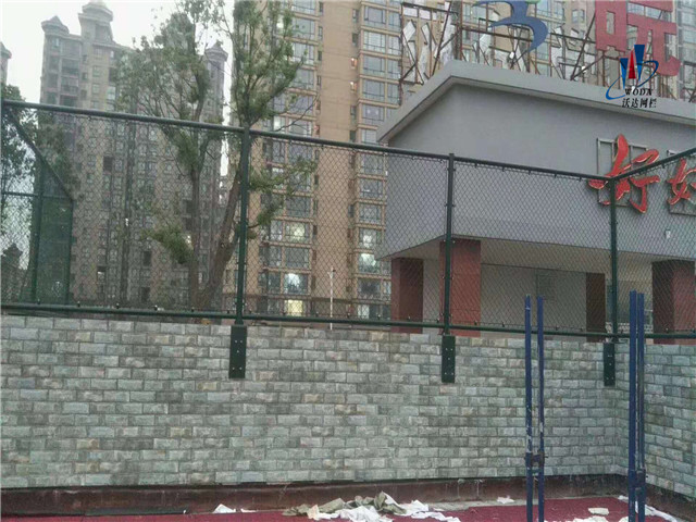 上海安徽皖西當代運動場圍網工程圖片5